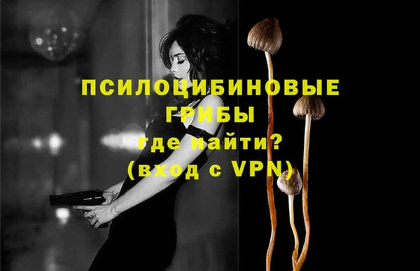 скорость Тосно